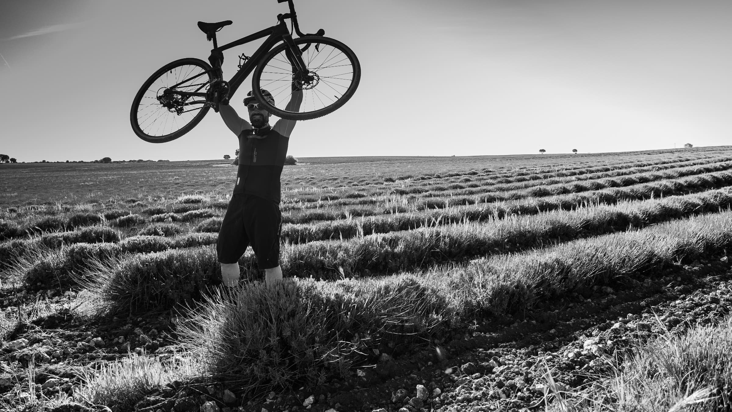 Ciclista en un campo de lavanda con la bicicleta levantada sobre la cabeza, en blanco y negro