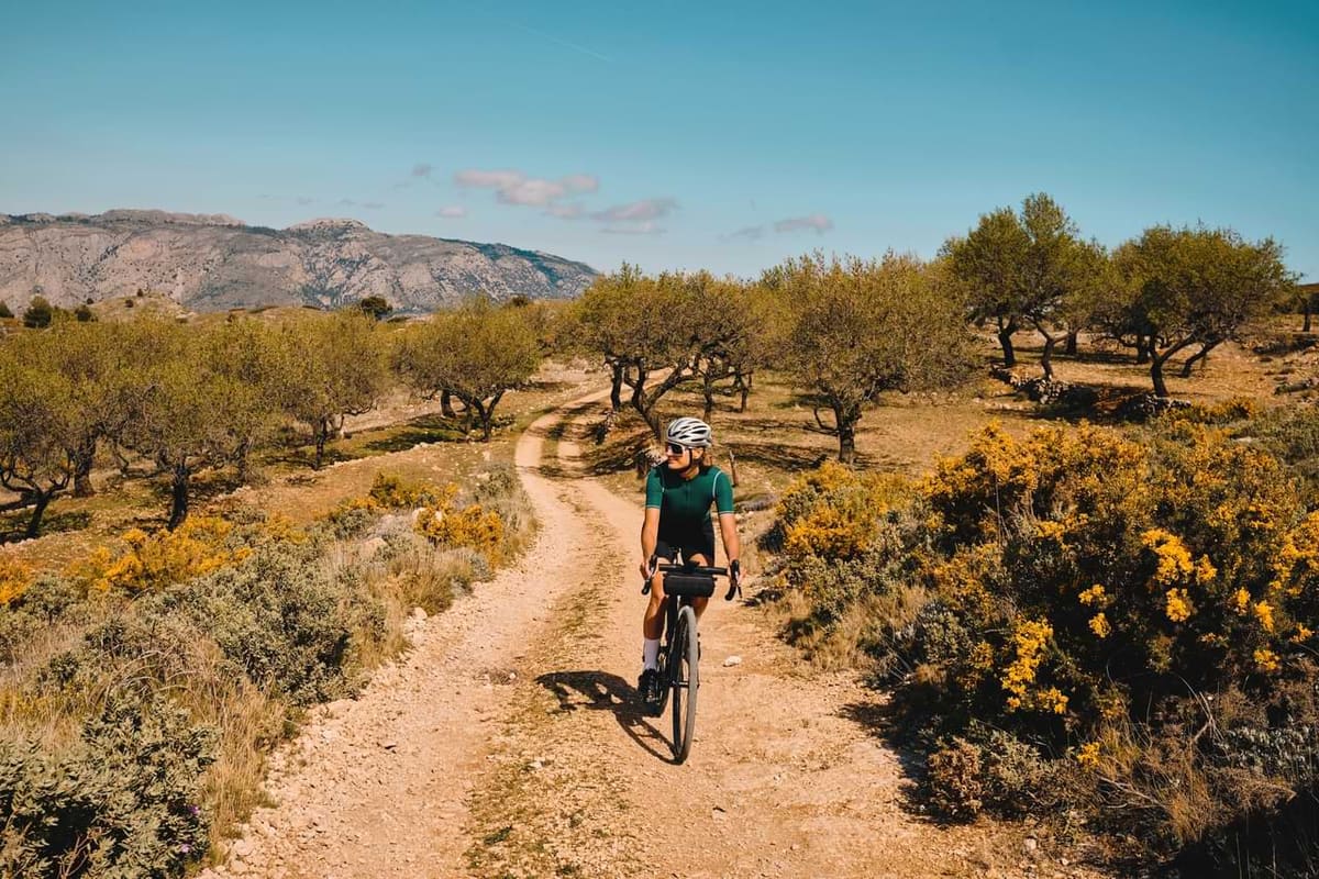 Ciclista de gravel por un camino de tierra entre almendros y aulagas en flor, con la sierra al fondo