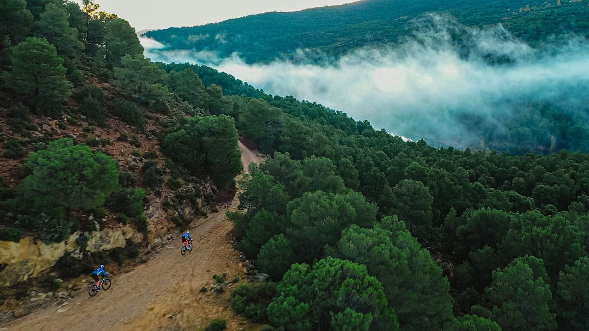 Dos ciclistas por una pista de tierra entre pinares, sobre un valle cubierto de niebla en el Alto Tajo
