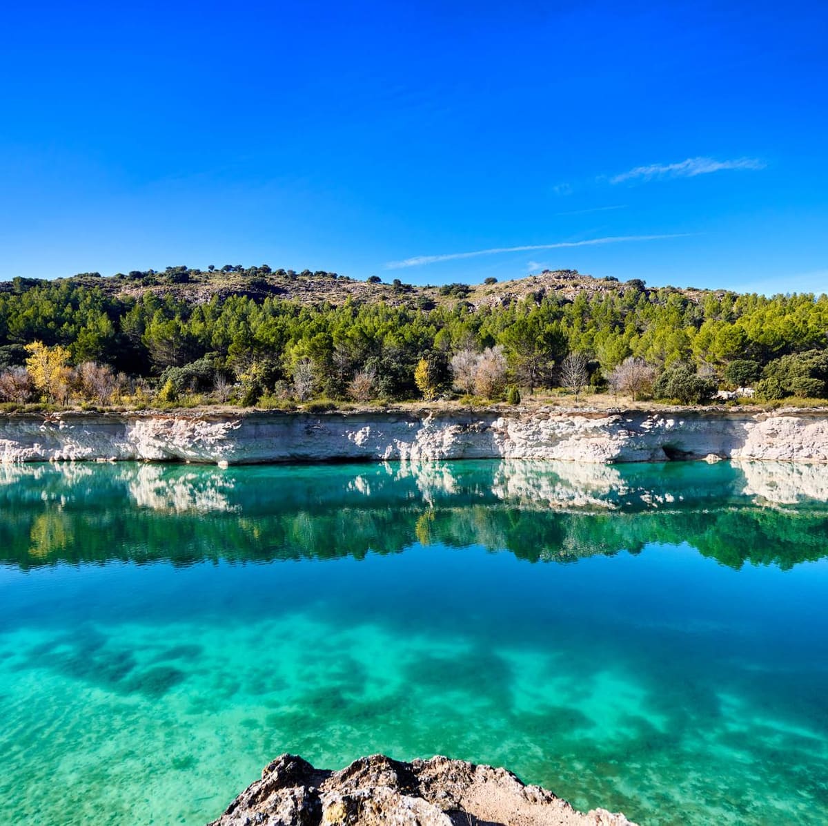 Laguna de aguas turquesa con orilla de roca blanca y pinar en las Lagunas de Ruidera