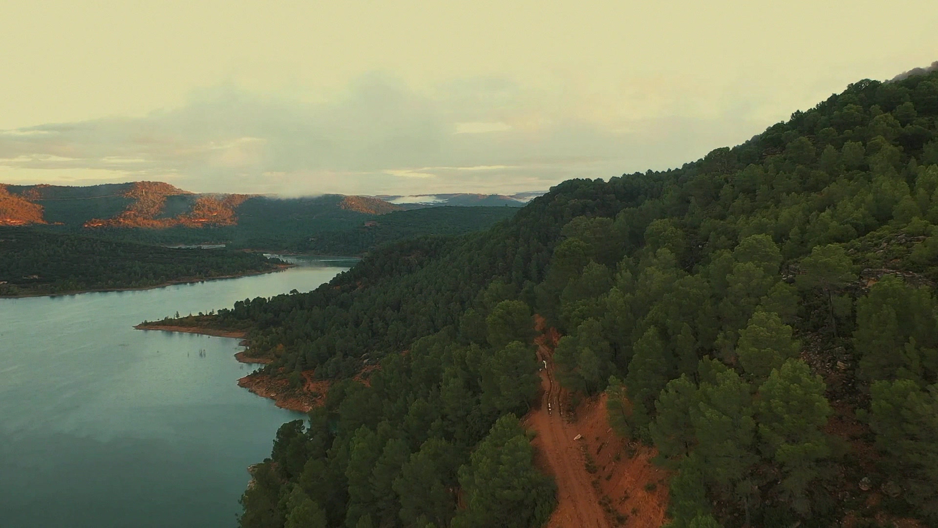 Ciclistas recorriendo pinares, campos de lavanda y embalses de La Alcarria y el Alto Tajo