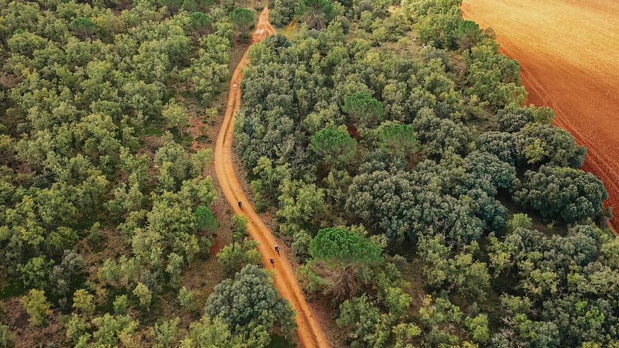 Ciclistas recorriendo una pista de tierra roja entre encinas en La Alcarria, vista desde el aire