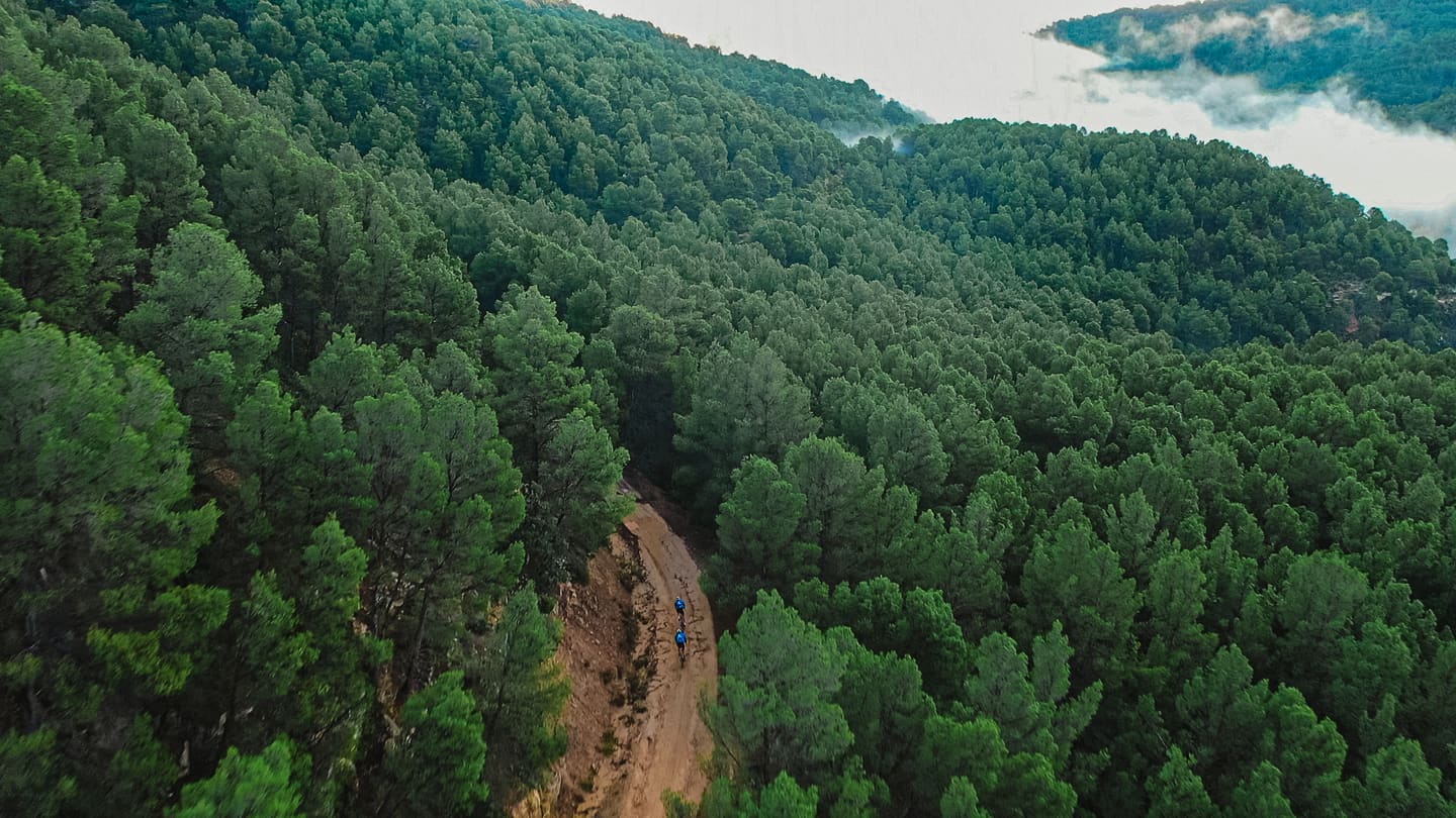 Vista aérea de dos ciclistas por una pista de tierra entre pinares, con niebla en el valle